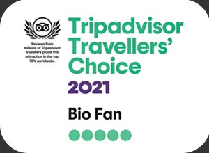 Tripadvisor traveller choice 2021
